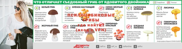 прущие грибы Сафоново