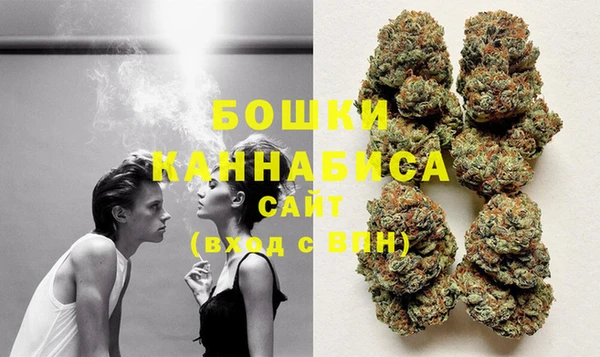 прущие грибы Сафоново