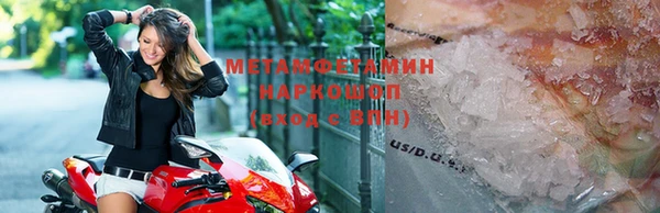 прущие грибы Сафоново