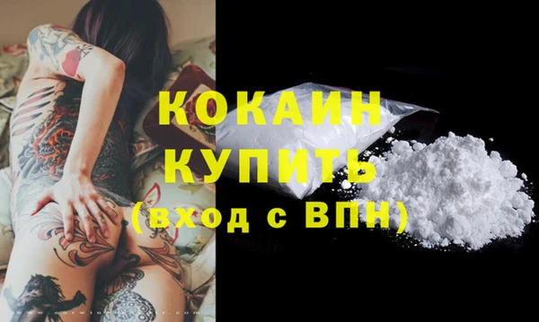 прущие грибы Сафоново