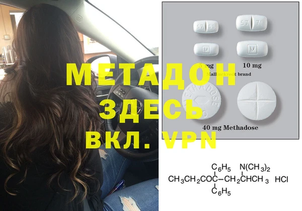 прущие грибы Сафоново